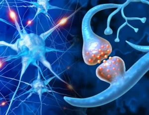 neuroplastisitas-jembatan-menuju-kesadaran-diri
